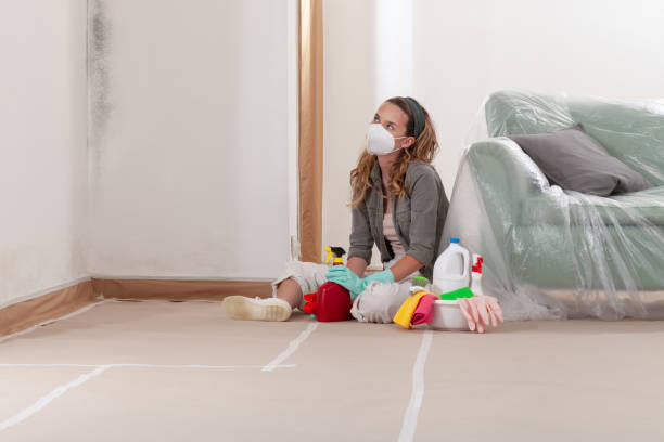 Reliable Basement Mold Remediation contractor in Rhodesdale, MD by WQB Mold Removal